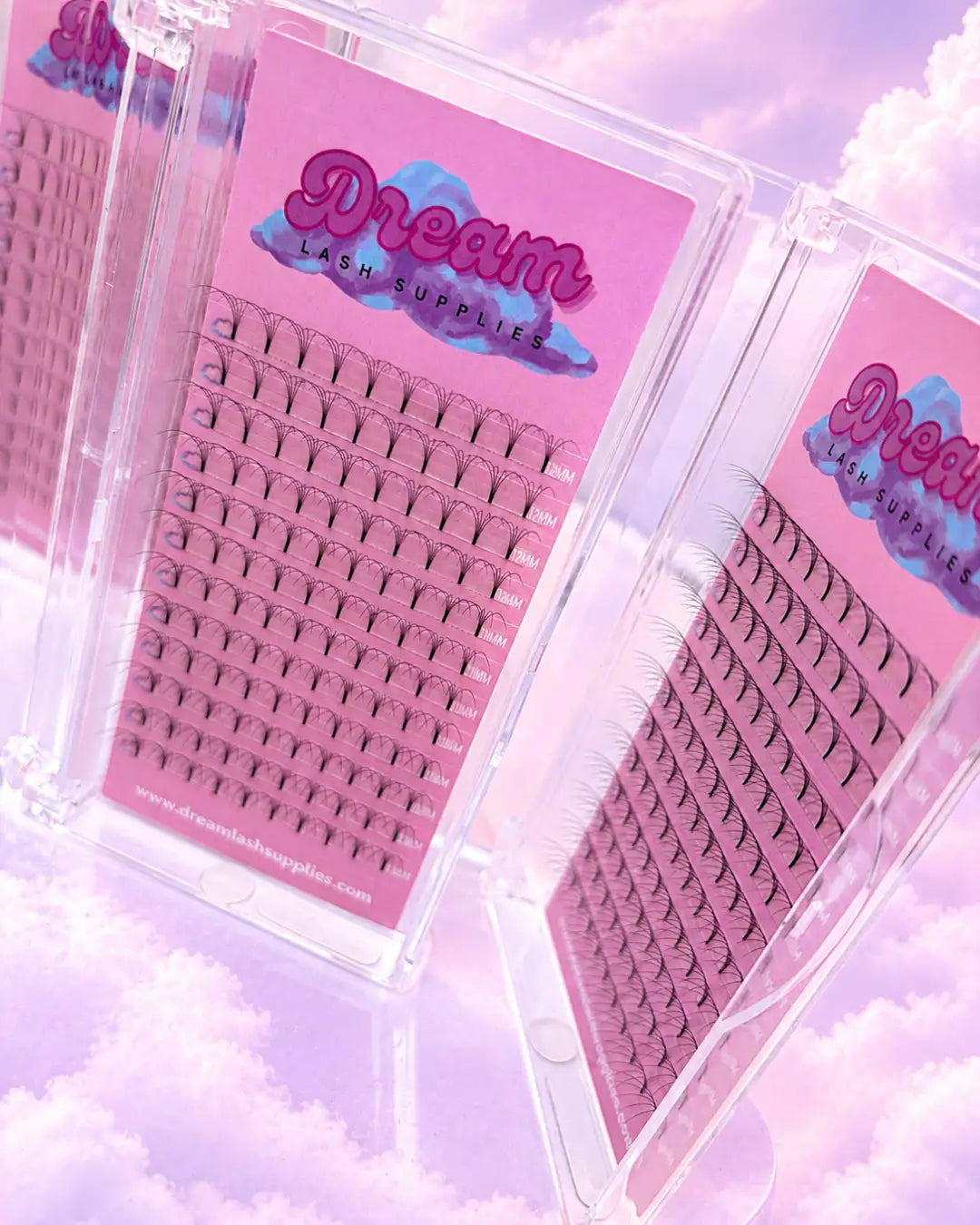 Dream Lash Supplies 5D Pre-Made Lash Trays