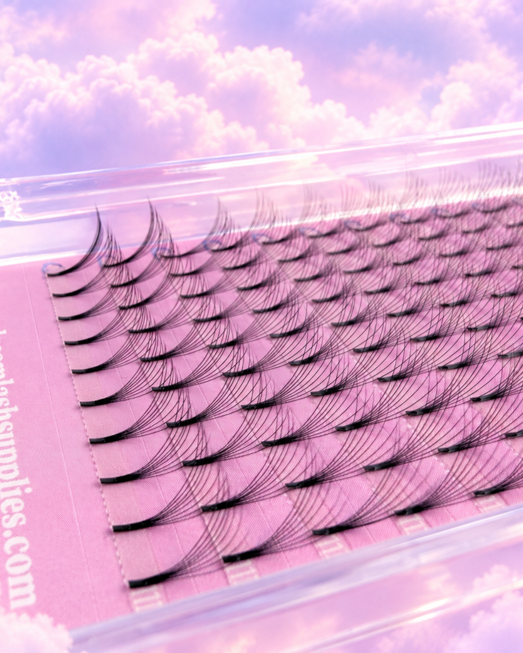 8D Pre-Made Lash Trays